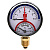Термоманометр радиальный STI ∅80 120°C 6 bar УП (G½")