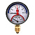 Термоманометр радиальный STI ∅80 120°C 10 bar УП (G½")