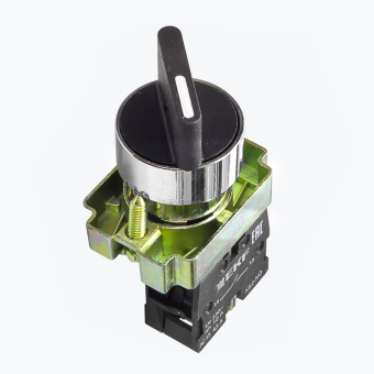Переключатель BD21 2P короткая ручка xb2-bd21